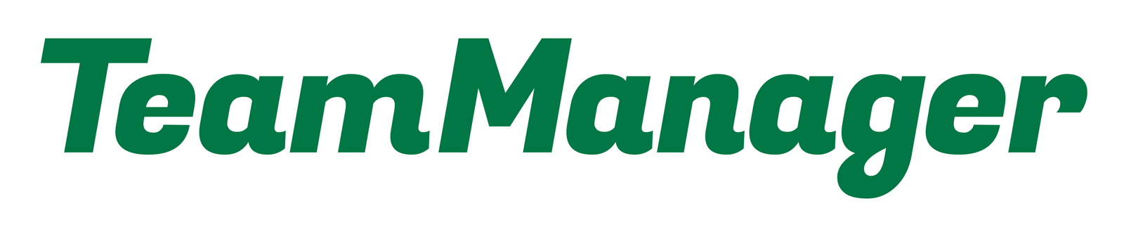 TeamManager